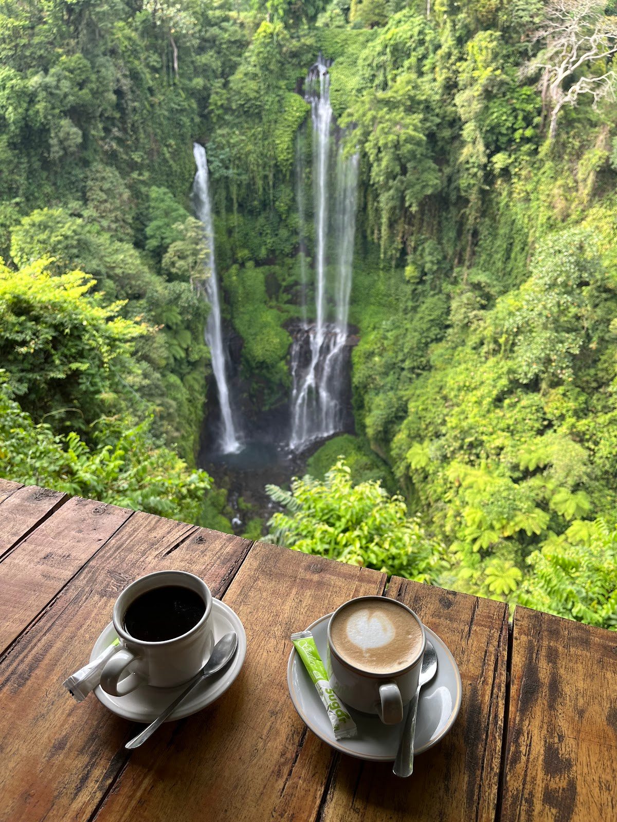 Sekumpul Falls — photo 3