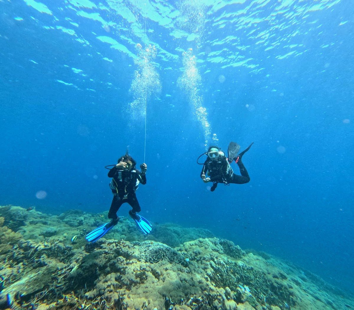 Blue Corner Divers — photo 3