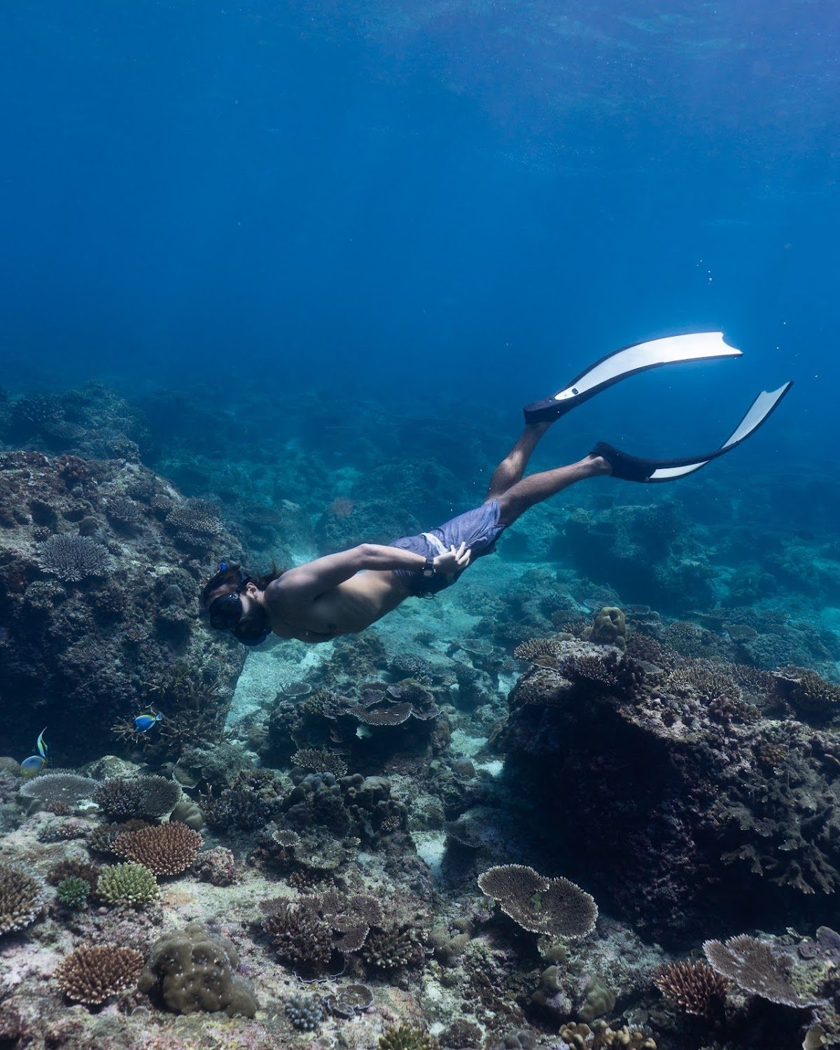 Freedive School – Amed
