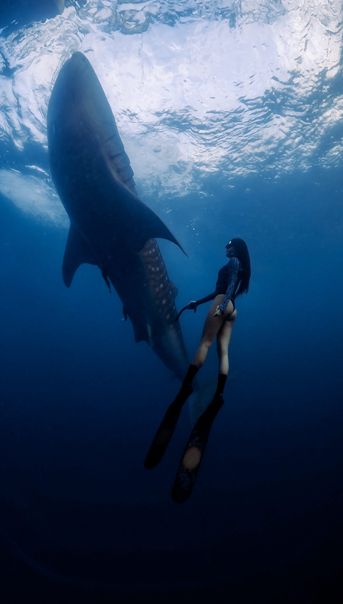 Amed Freedive Collective — photo 2