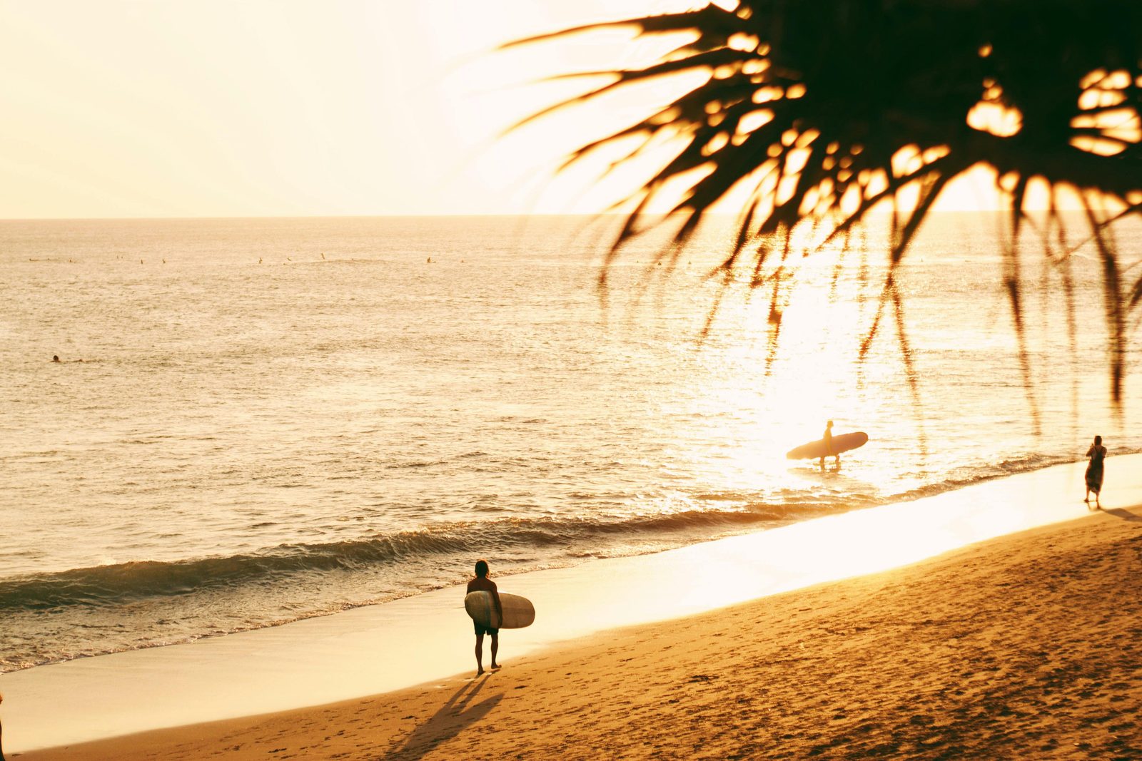 Surf & cafe culture