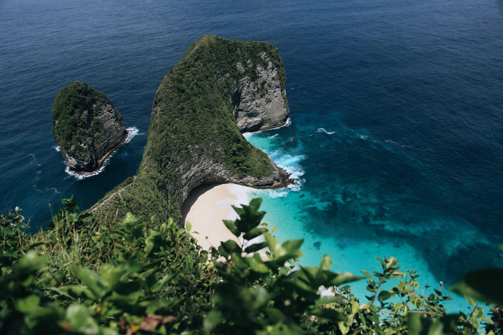 Wild coves & mantas